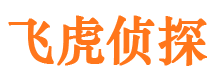 平阳捉小三公司